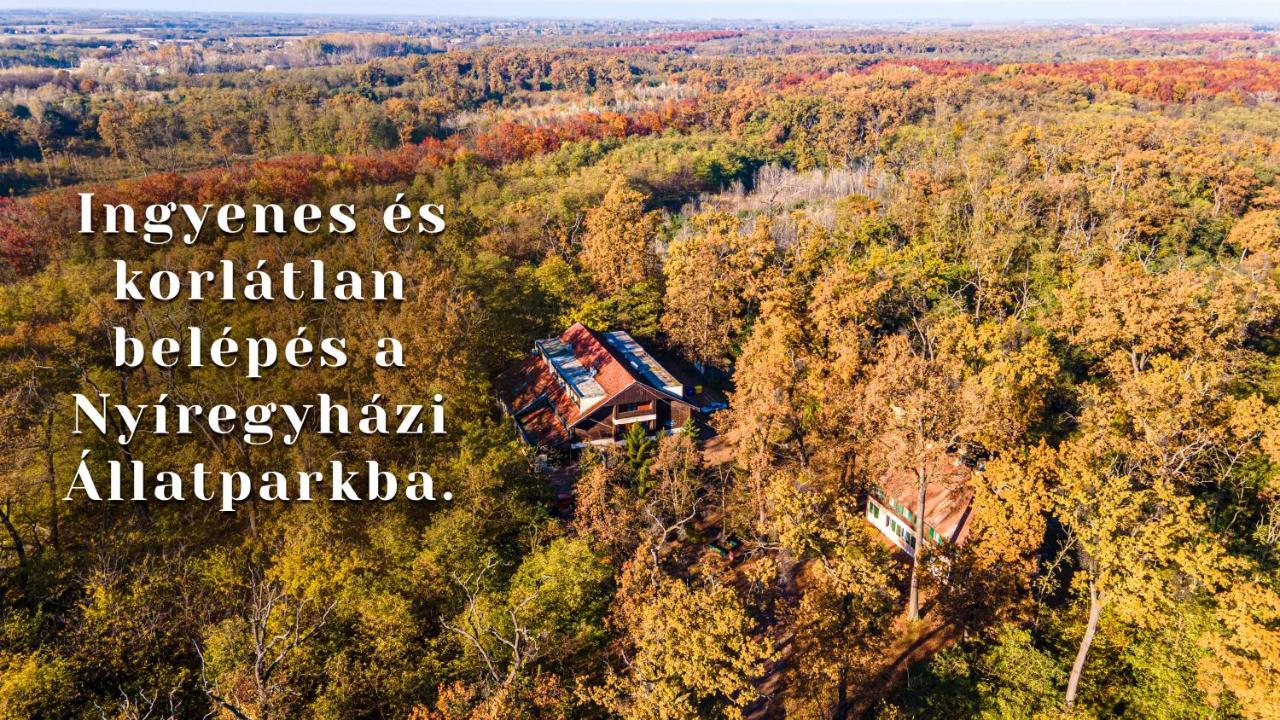 Ózoon Hotel Nyíregyháza Buitenkant foto